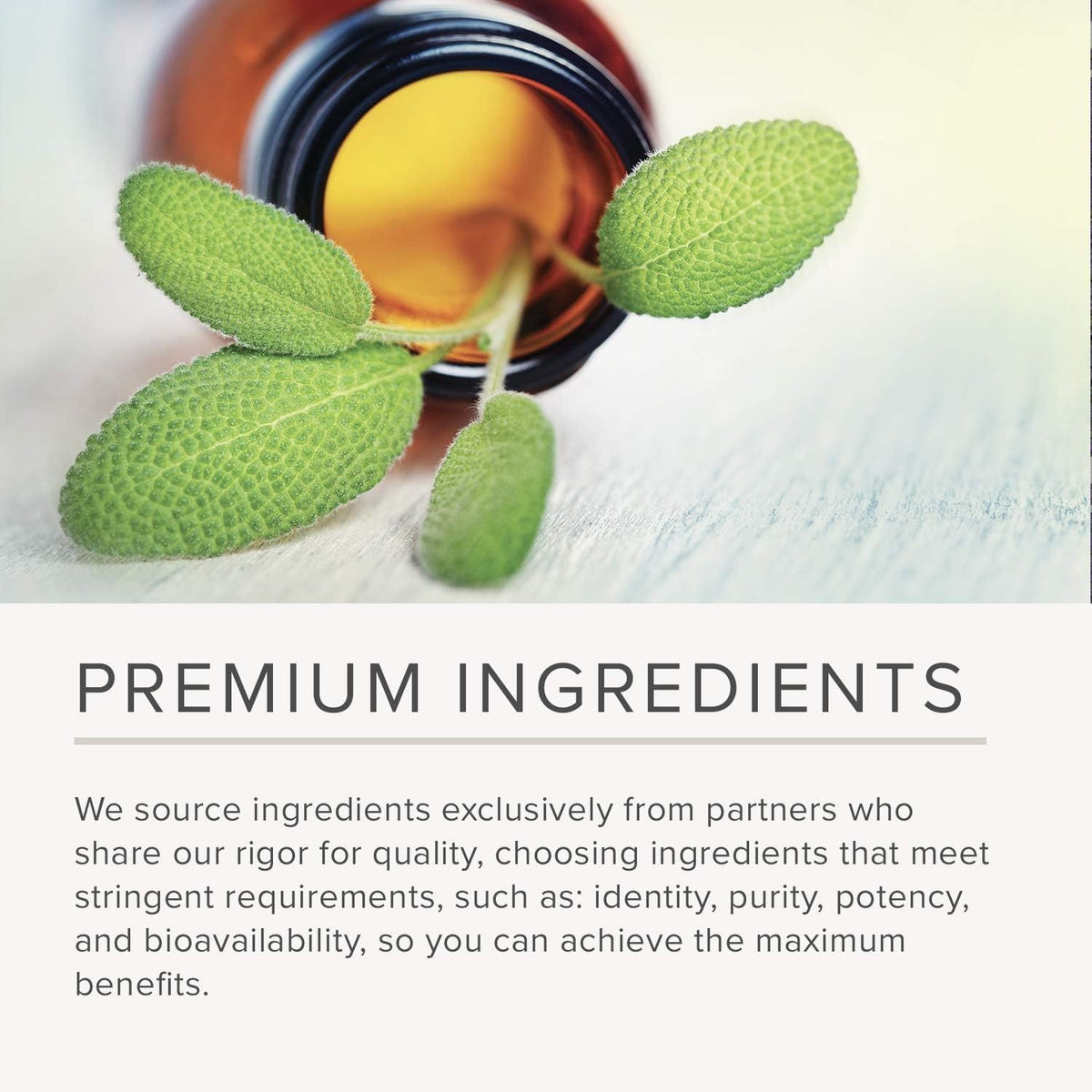 Integrative Therapeutics Y Formula Gastrointestinal Support - 90 Capsules - image 6