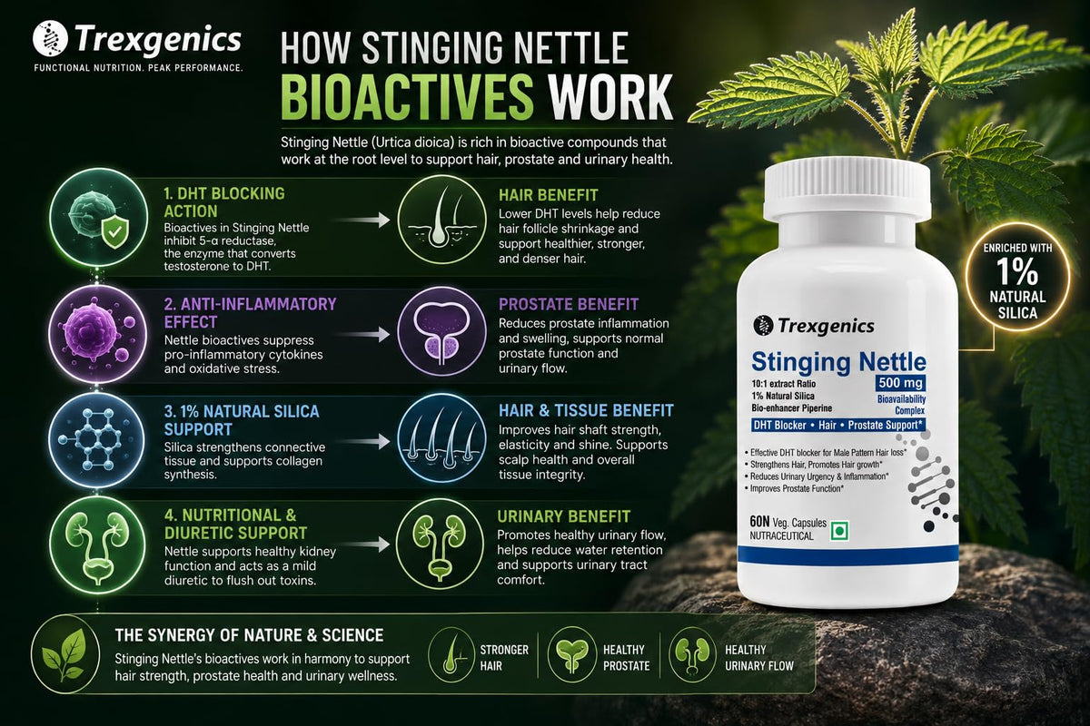 Trexgenics Stinging Nettle 500mg with Piperine - 60 Vegetarian Capsules - image 4