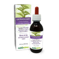 Naturalma European Bugleweed Herbal Tincture - 4 fl oz