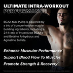 FINAFLEX BCAA MAX PUMP, Ultimate Super Intra-Workout