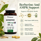 PRISTINE'S Berberine 1000mg Supplement Capsules - 150 Count - image 4