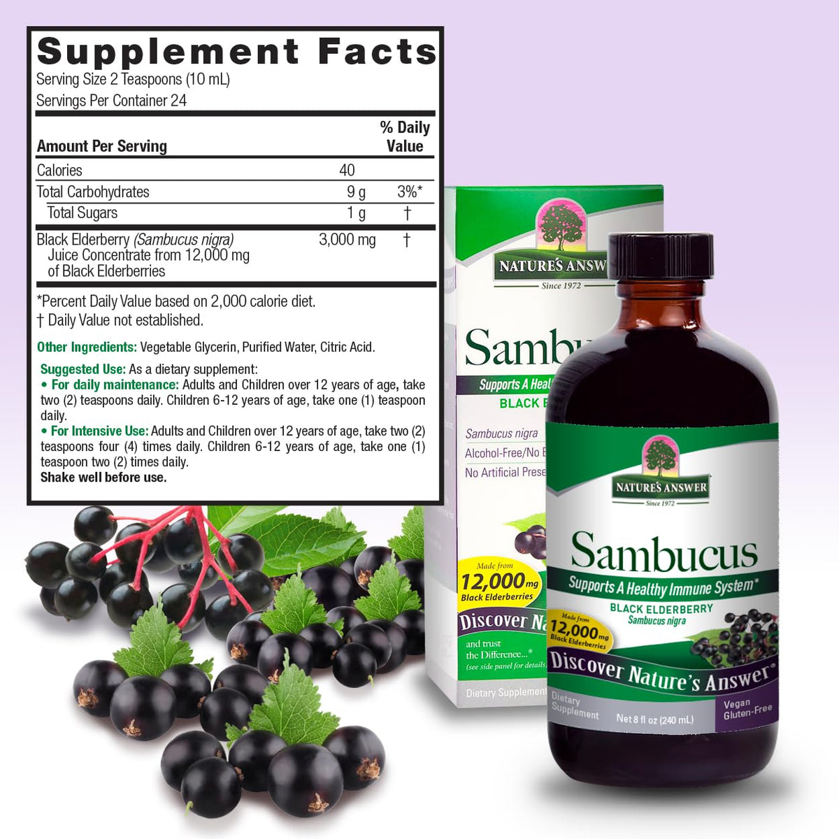 Nature's Answer Sambucus Black Elderberry Extract Immune Support - 8 Fl Oz - image 3