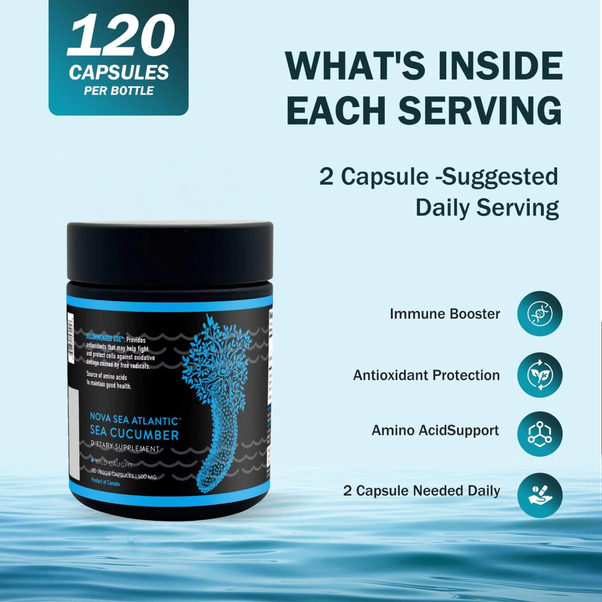 Nova Sea Atlantic Sea Cucumber + Blueberry Optimizer 120 Capsules