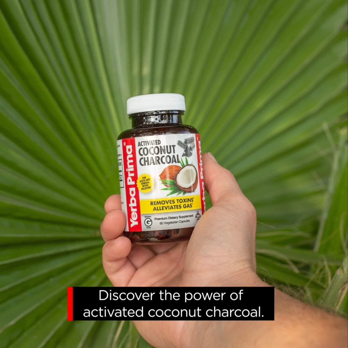 Yerba Prima Activated Coconut Charcoal - 60 Vegetarian Capsules - image 9