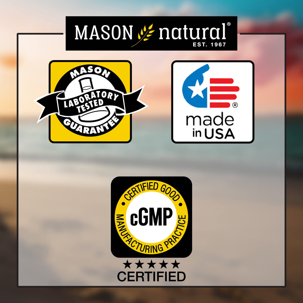Mason Natural Lecithin with Kelp, B6 & Apple Cider Vinegar - 100 Softgels - image 5