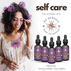 Sun God Medicinals Ra Herbals Organic Black Cohosh Liquid Extract - 1 fl oz - image 5