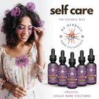 Sun God Medicinals Ra Herbals Organic Black Cohosh Liquid Extract - 1 fl oz - image 5