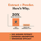 American Standard Supplements Turmeric Extract Curcumin 95% - 60 Vegan Capsules - image 4