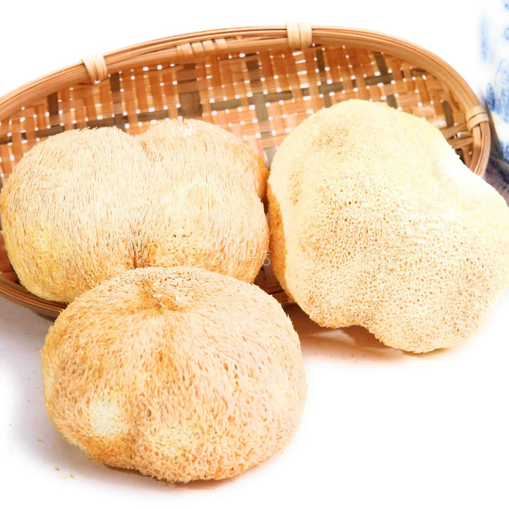 Wing Fung Hong Dried Lion's Mane Mushroom - 16 oz