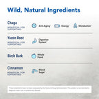 NORTH AMERICAN HERB & SPICE ChagaMilk Drink Mix - 36 Servings - image 3