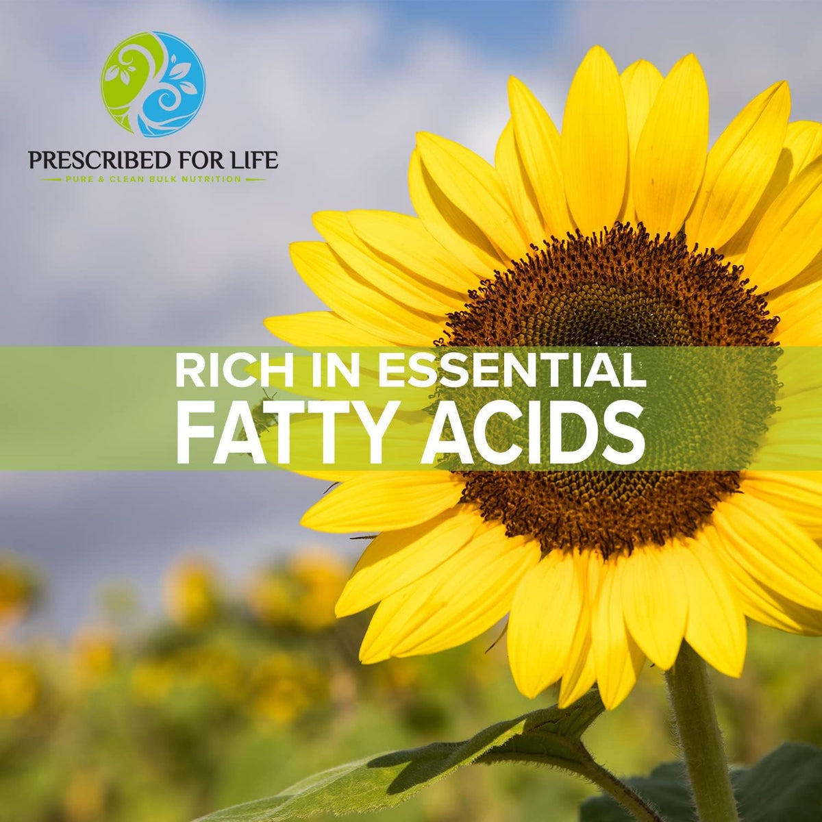Prescribed For Life Sunflower Lecithin Powder - 340g - image 5