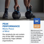 Designs for Sport Beef Protein Powder
