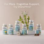 SOLARAY Ginkgo Biloba Extract with Gotu Kola - Ginko Biloba Capsules