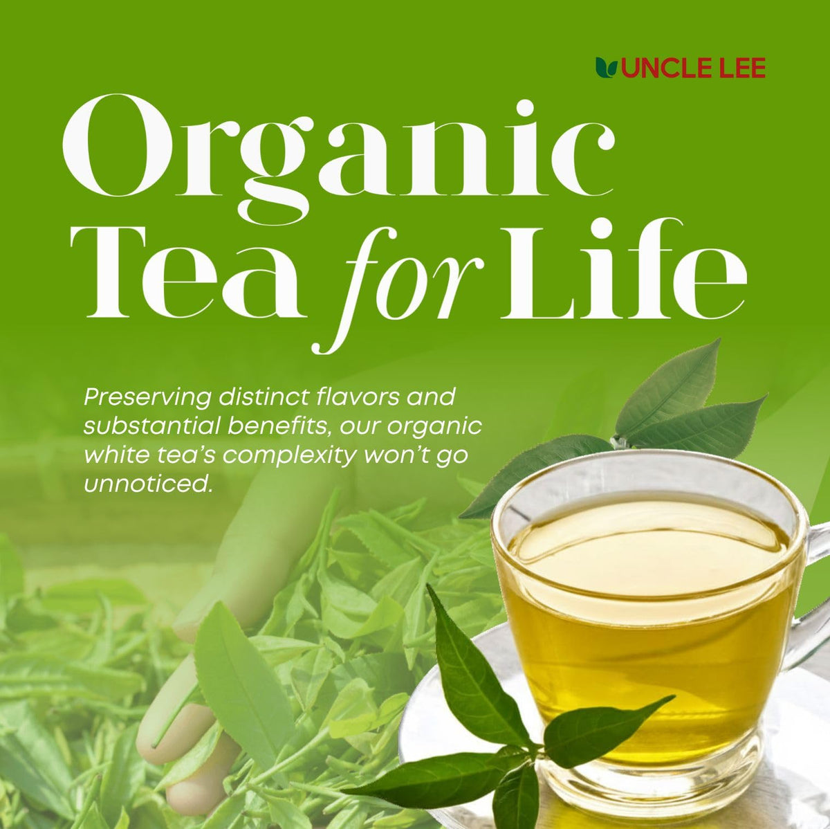 Uncle Lee's Tea Organic White Tea - 100 Tea Bags - image 2