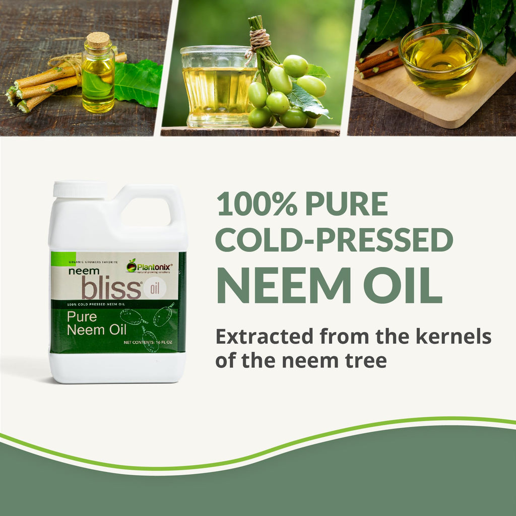 plantonix Neem Bliss - Pure Neem Oil Concentrate - 100% Cold Pressed