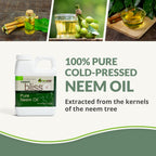 plantonix Neem Bliss - Pure Neem Oil Concentrate - 100% Cold Pressed