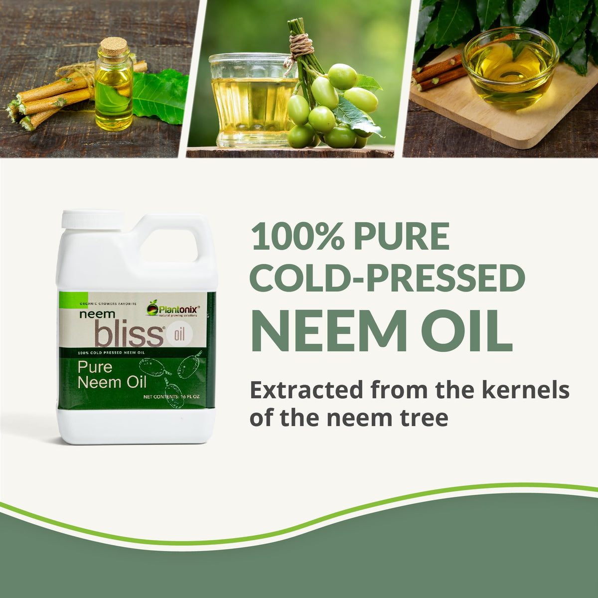 plantonix Neem Bliss - Pure Neem Oil Concentrate - 100% Cold Pressed