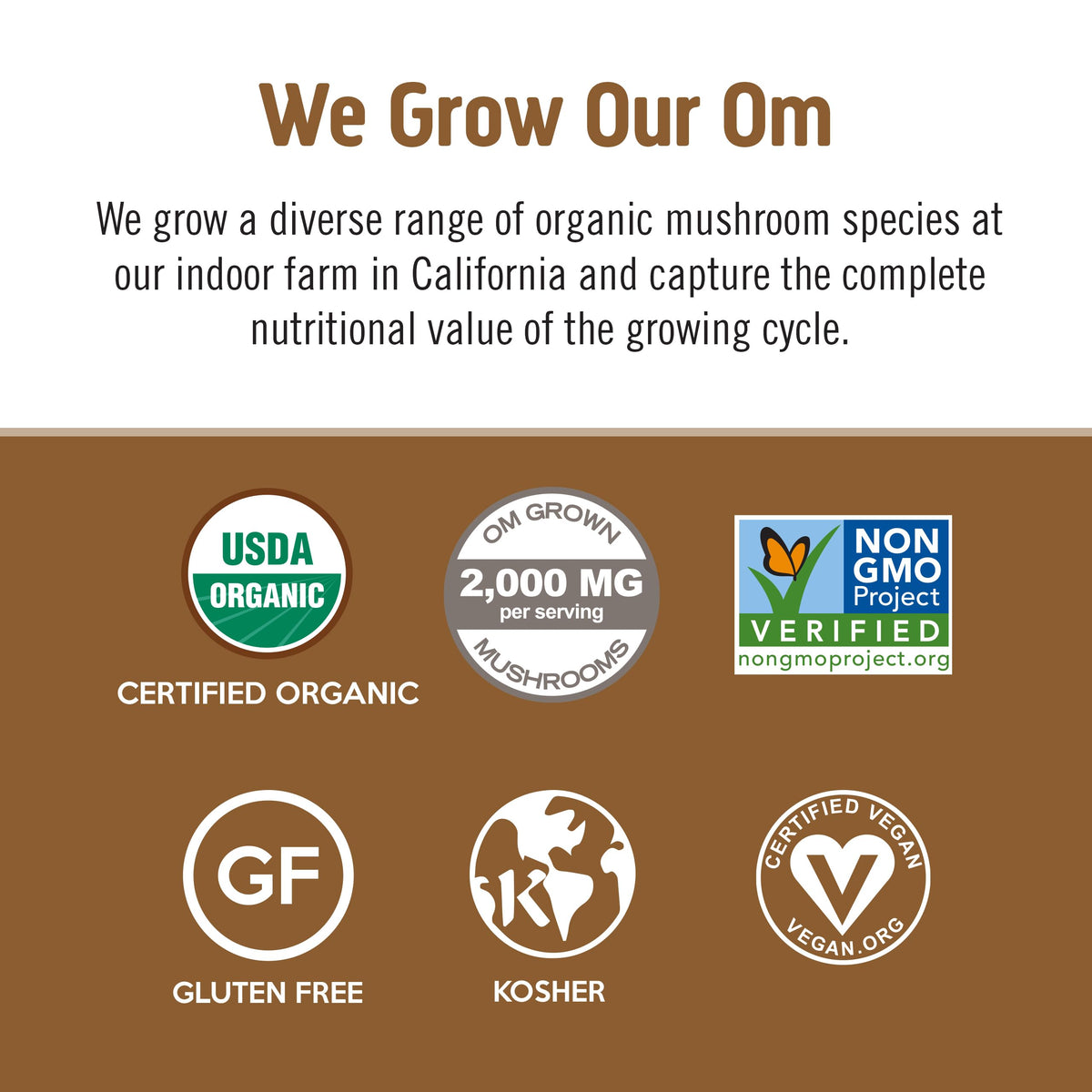 OM Mushroom Superfood Coffee Latte Blend Powder - 240g - image 4