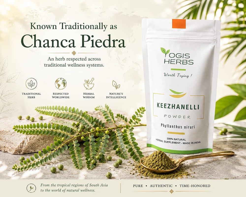 YOGIS HERBS Keezhanelli Powder (Phyllanthus Niruri)