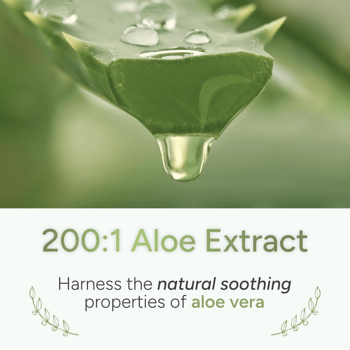 ALOEPATH Bladder Support Supplement with Aloe Vera - 90 Capsules - image 6