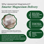 Himalayan Organics Vlado's Magnesium Supplement 2800mg - 60 Vegetarian Capsules - image 4