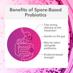 Bio-Botanical Research Biocidin Proflora 4R Spore Probiotic - 30 Capsules - image 5