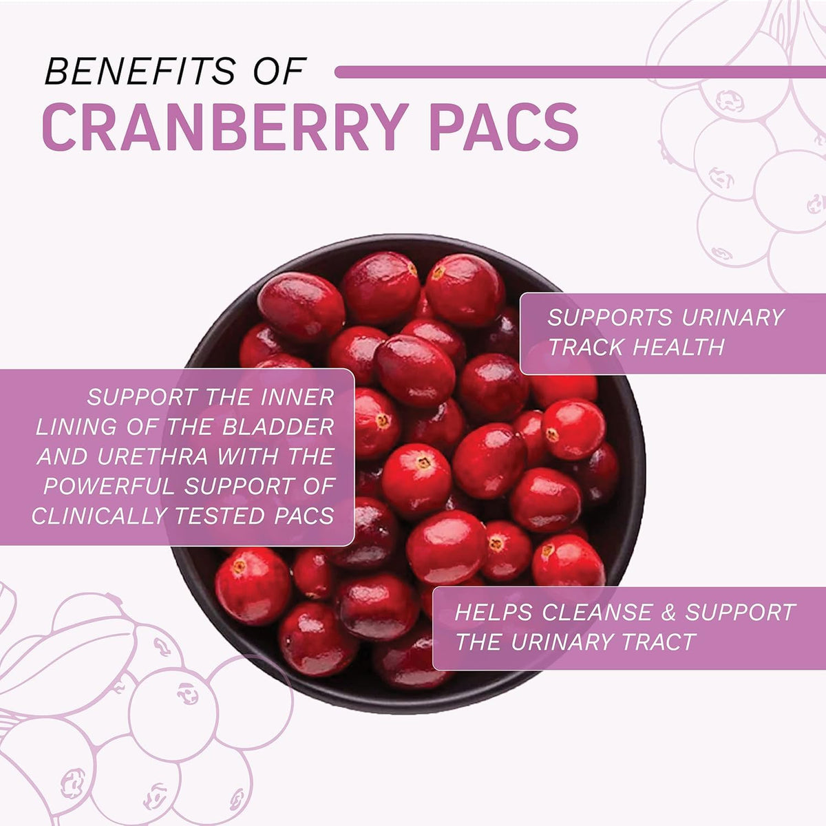 Herbtonics UTI Urinary Tract Cleanse Cranberry Pills 36mg PAC - 120 Capsules - image 2