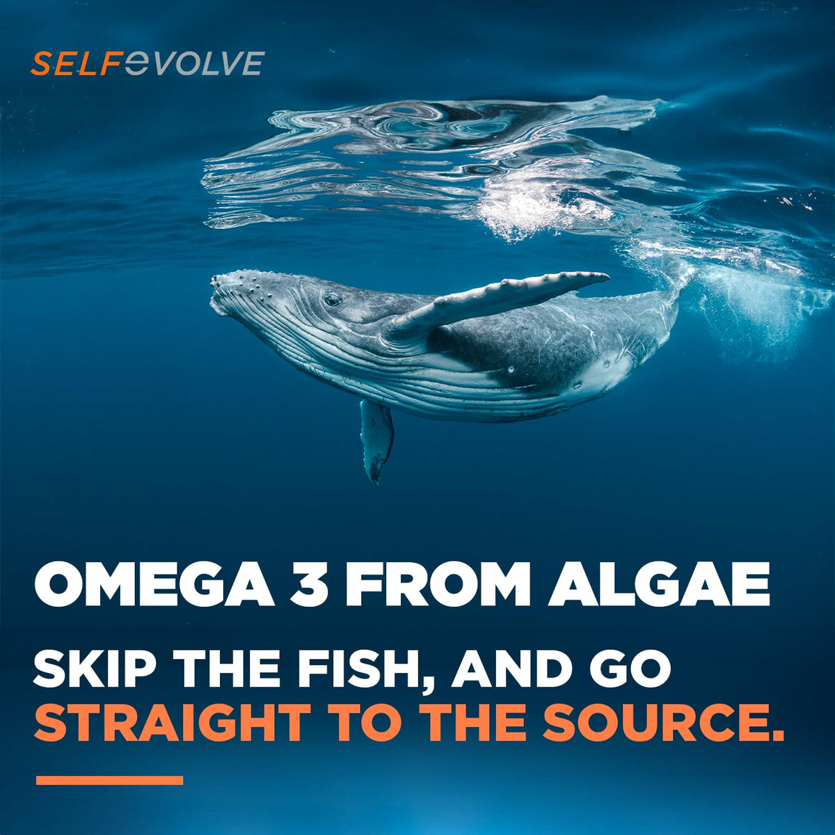 selfevolve Algae Omega 3 1500mg Vegan Softgels - 90 Count - image 6