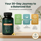 GUTVED Candida Complex with Caprylic Acid - 60 Capsules - image 6