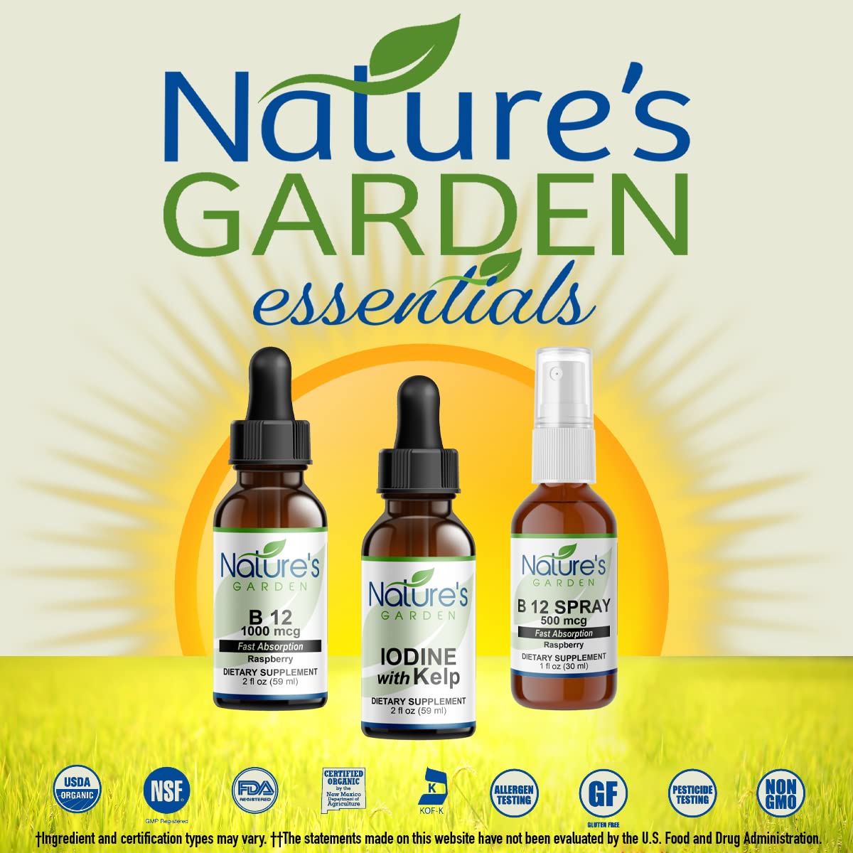 Nature's Garden Ginseng Master Energy Liquid Extract - 2 oz - image 4