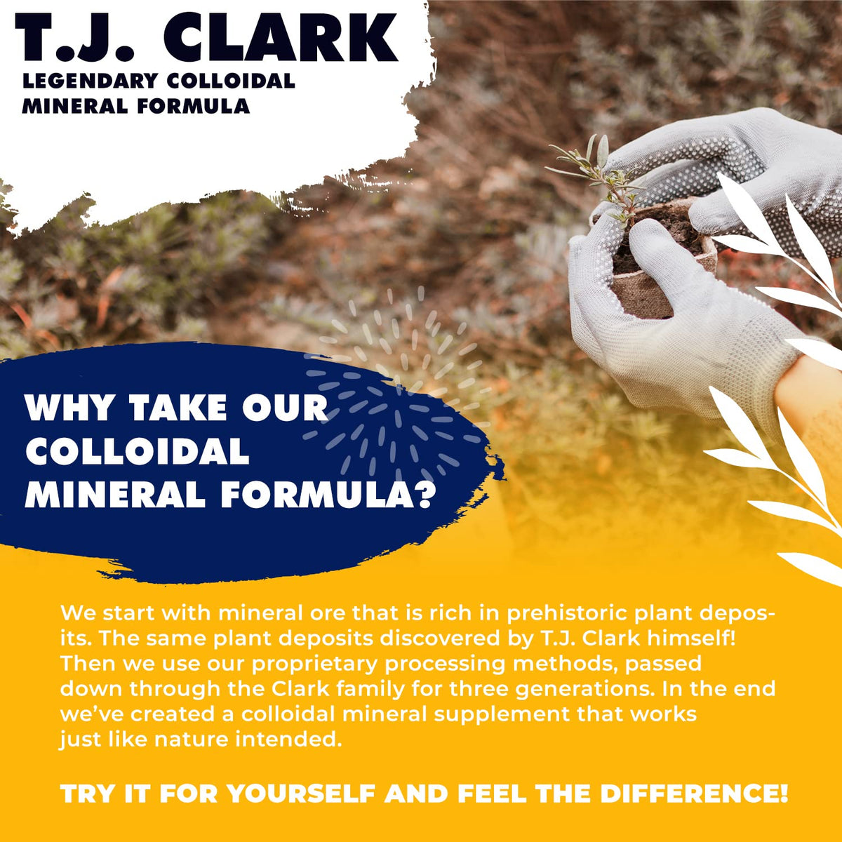 T.J. Clark Legendary Colloidal Mineral Formula - 64 Fl Oz - image 5