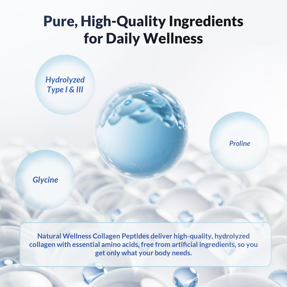 Natural Wellness Collagen Peptides Type I & III Powder - 2-Pack - image 4