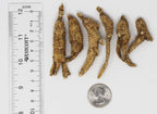 DABC OAK LAND American Ginseng Root - 8 oz - image 4