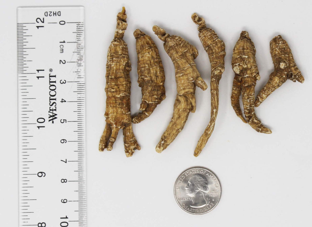 DABC OAK LAND American Ginseng Root - 8 oz - image 4