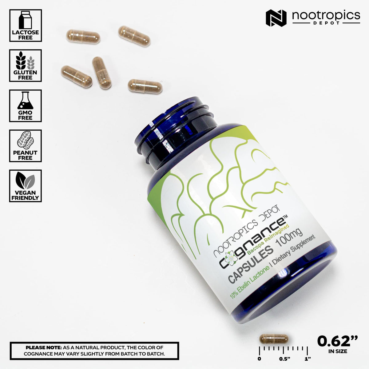 Nootropics Depot Cognance Enhanced Bacopa Capsules
