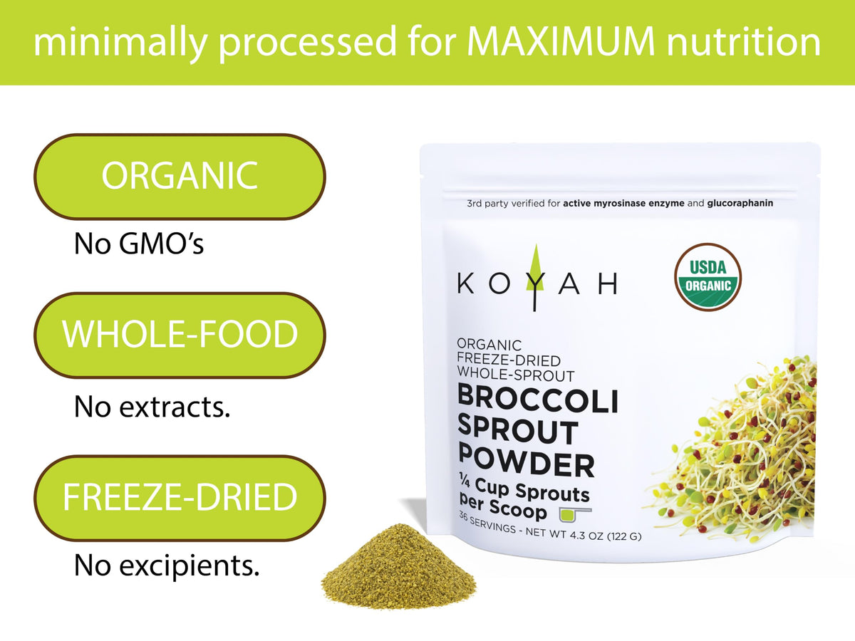 KOYAH Organic Broccoli Sprout Powder - 36 Servings - image 4