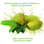 HERBALISTA Soursop Leaf Powder 100% Pure Graviola - 5oz - image 3