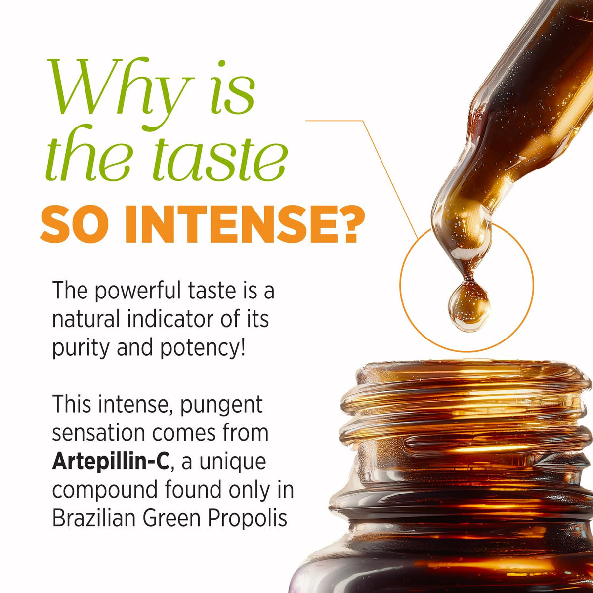 AFC Brazilian Green Propolis Extract Liquid - 1 Fl Oz - image 7