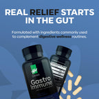 Daiwa - Gut Health and Immunity Supplement - Non-GMO