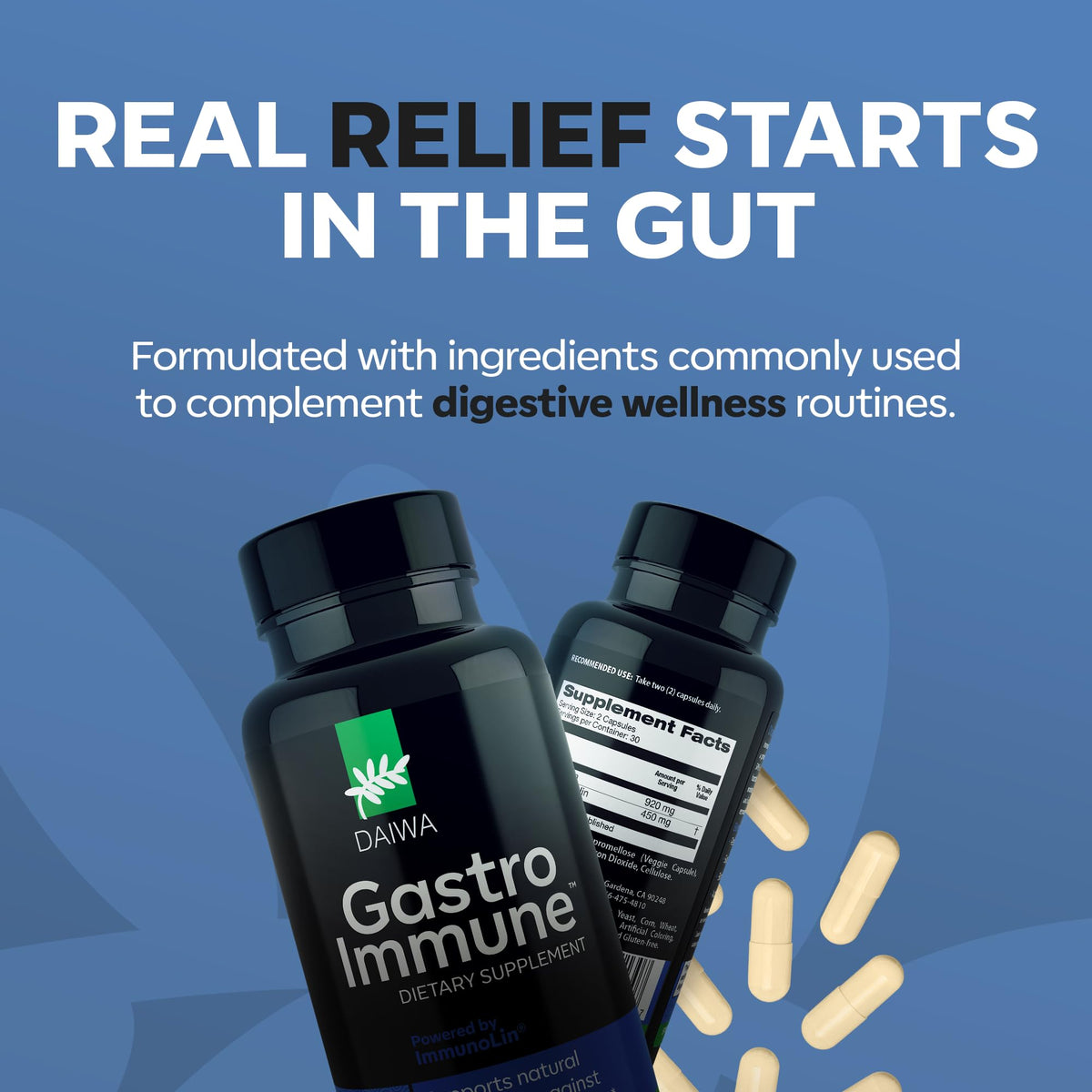 Daiwa - Gut Health and Immunity Supplement - Non-GMO