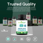 ForestLeaf Vitamin B2 Riboflavin 400mg - Energy