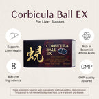 Umeken Corbicula Ball EX Liver Support - 60 Packets - image 2