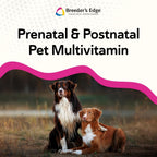 Breeder's Edge Breed to Wean Prenatal Soft Chews for Dogs & Cats - 100ct - image 4