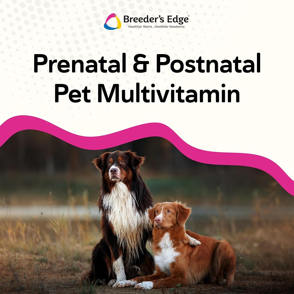 Breeder's Edge Breed to Wean Prenatal Soft Chews for Dogs & Cats - 100ct - image 4