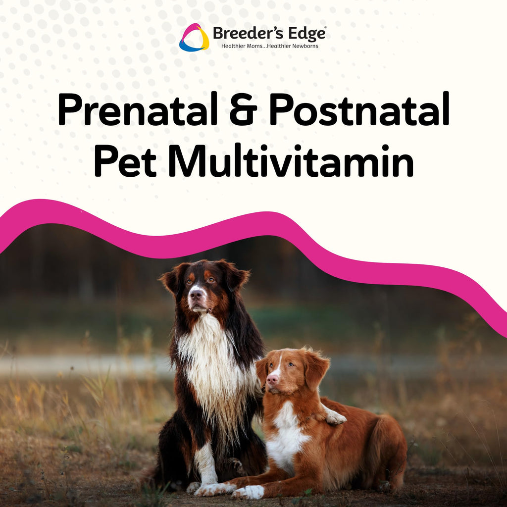 Breeder's Edge Breed to Wean Prenatal Soft Chews for Dogs & Cats - 100ct - image 4