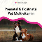Breeder's Edge Breed to Wean Prenatal Soft Chews for Dogs & Cats - 100ct - image 4