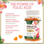 Hello Lovely! Prenatal Vitamins Multivitamin with DHA & Folic Acid - 60 Gummies - image 6