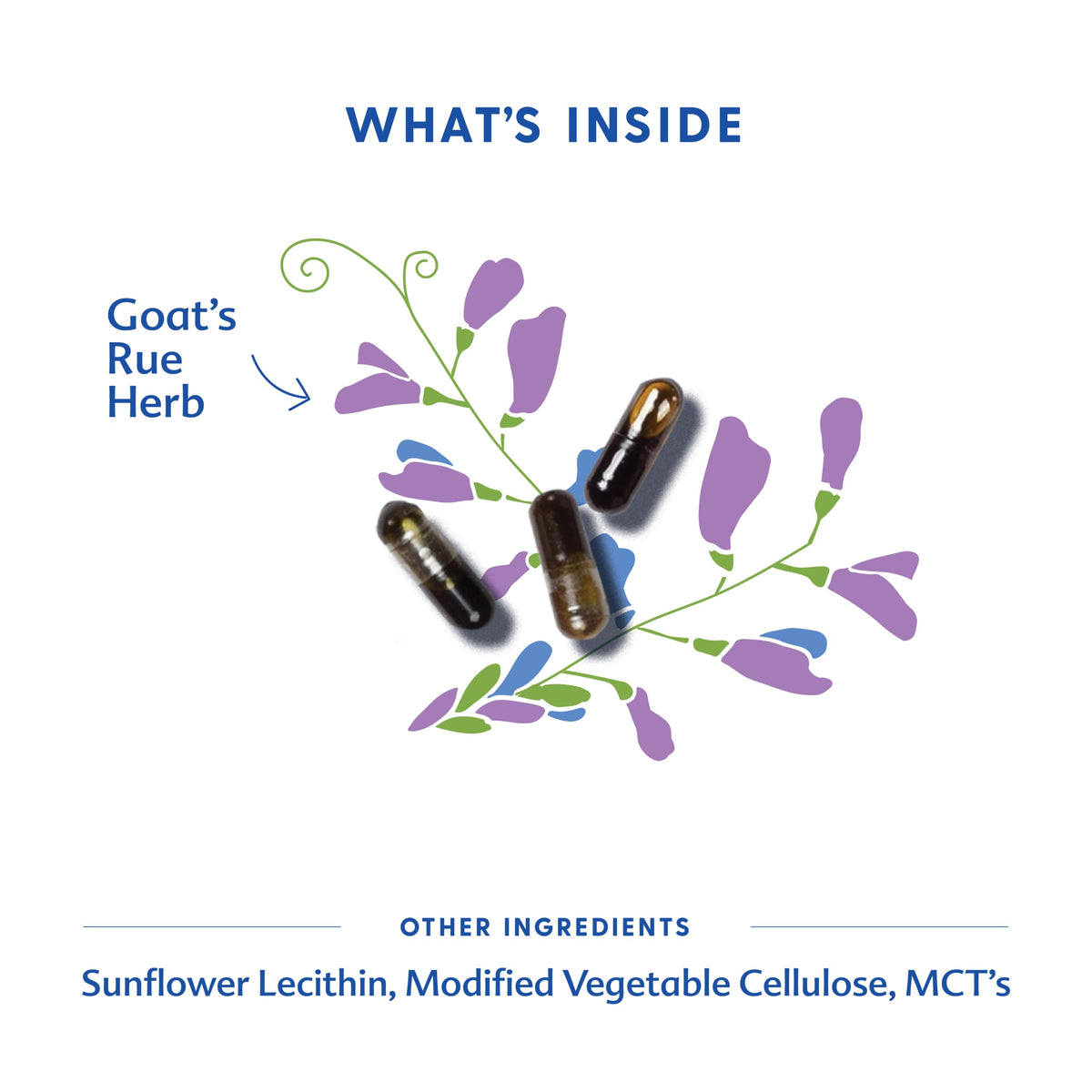 Motherlove Goat’s Rue