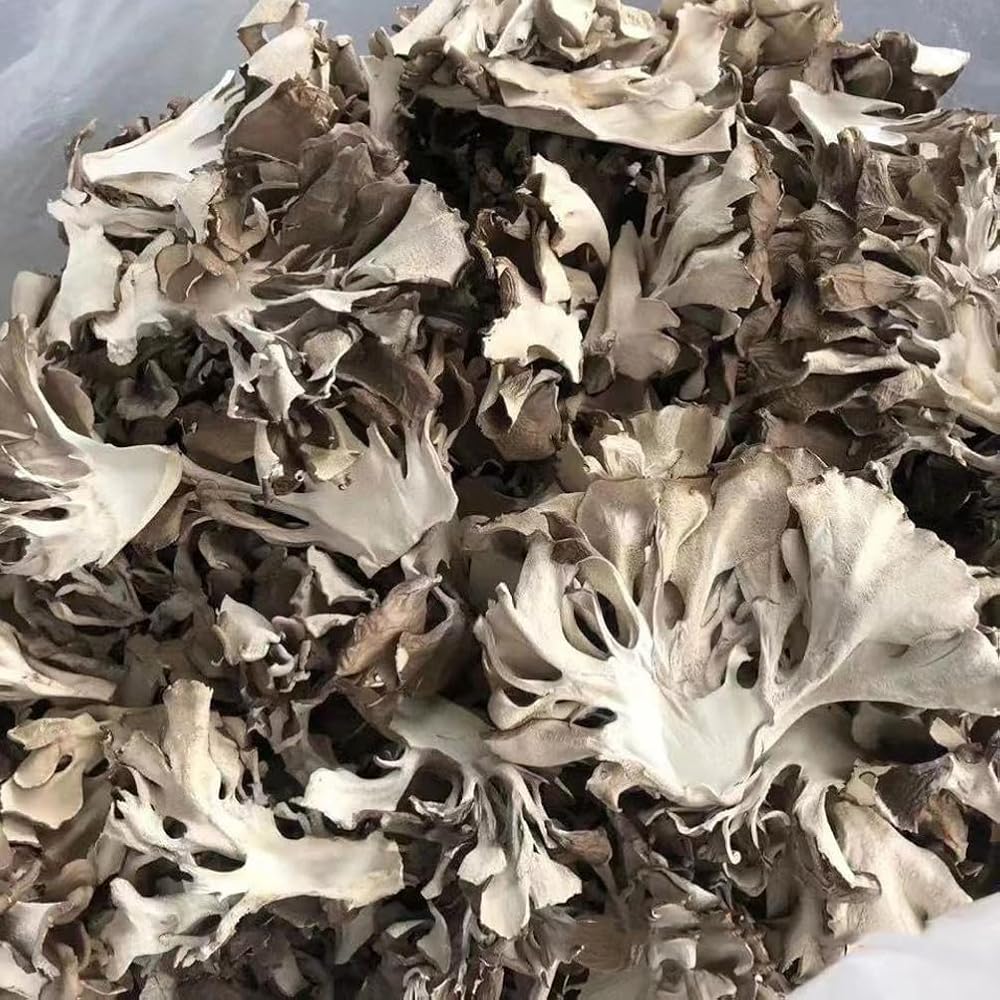 REUEHDS Maitake Mushroom Huishuhua