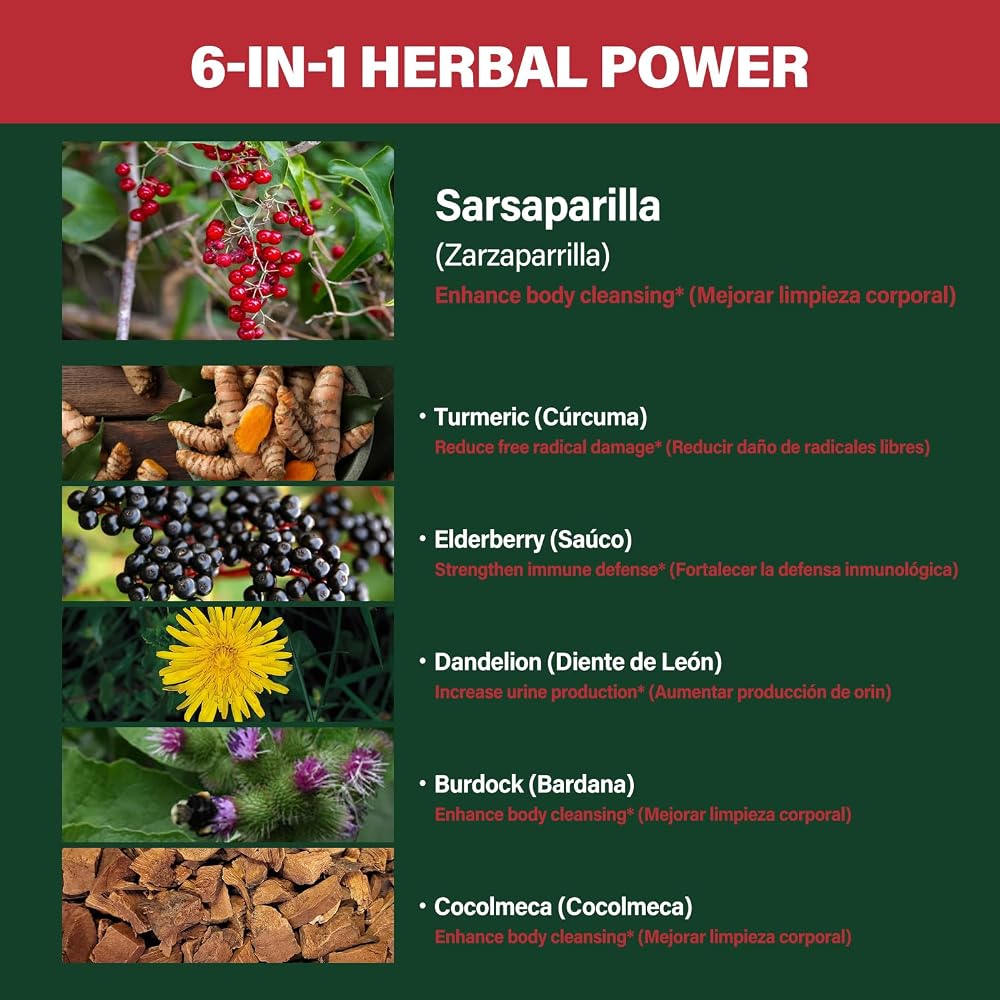 Verdeherb Sarsaparilla Extract Capsules for Detox & Cleanse, 240 Count - image 3